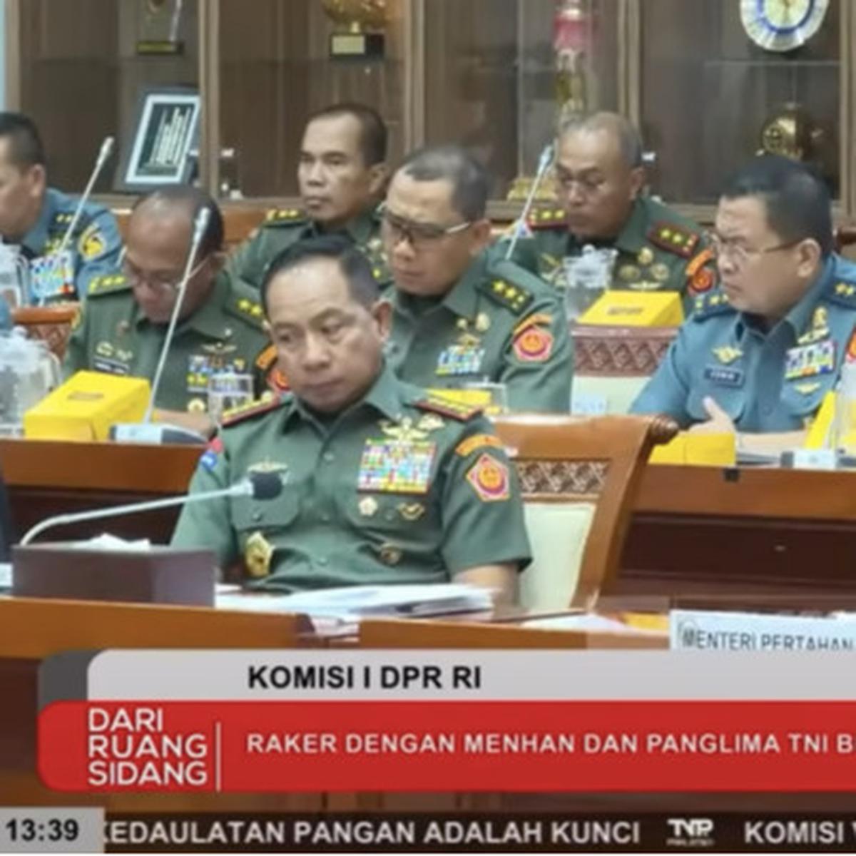 anggota dpr muda