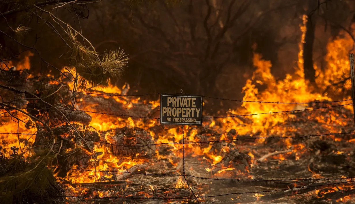 Sebuah papan penanda wilayah lahan milik masyarakat ikut terbakar saat peristiwa kebakaran di kawasan Rocky Fire, San Francisco, California, Kamis (30/7/2015). Wilayah ini terbakar sejak rabu sore. (REUTERS/Max Whittaker)
