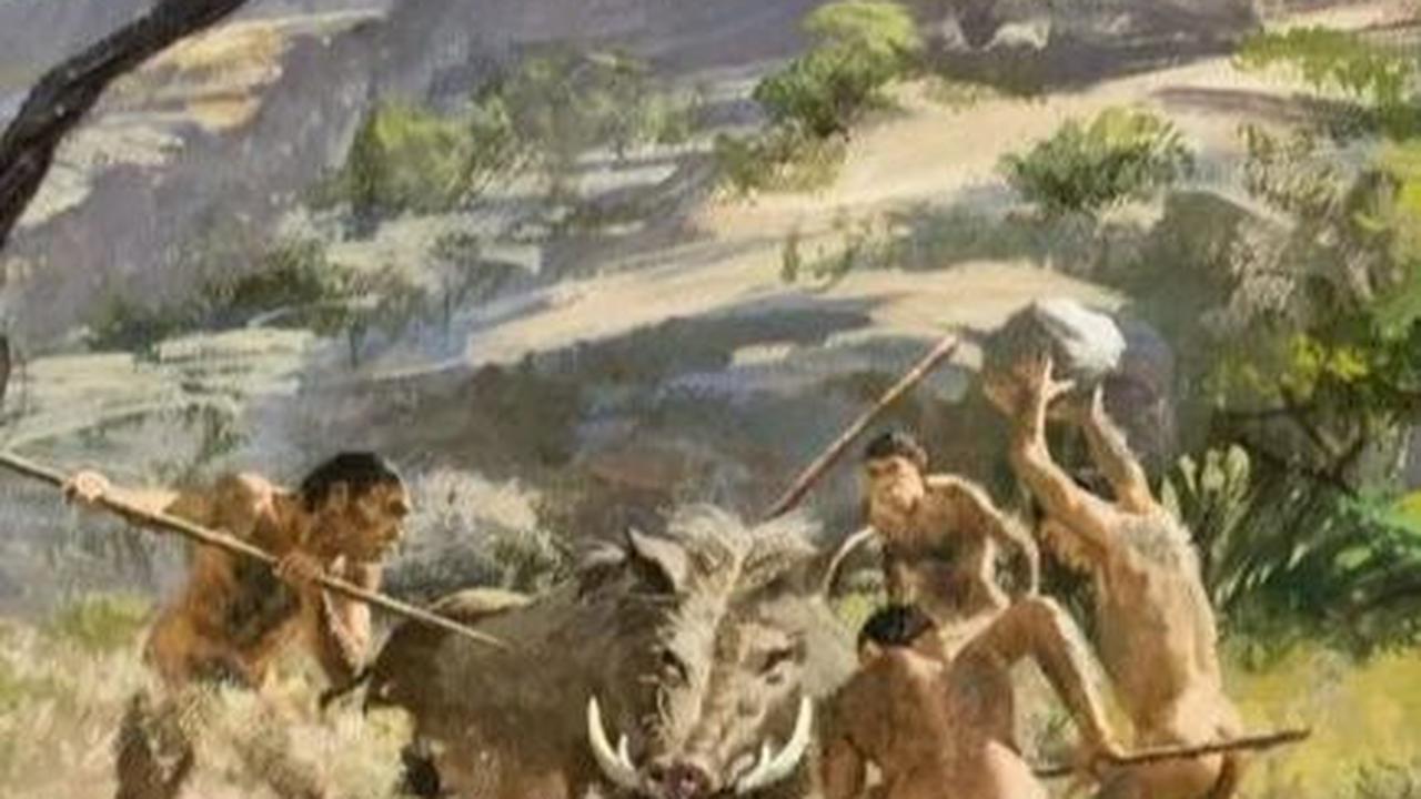 2. Neanderthal Jadi Manusia Purba yang Pandai Mengelola Hasil Buruan<br>