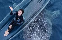 Unggah Momen Berenang Bareng 2 Hiu Paus di Gorontalo, Tampilan Liburan Tiara Andini Banjir Pujian