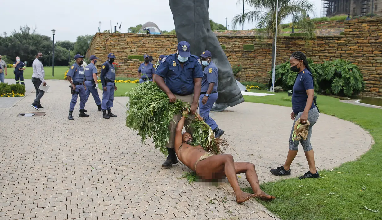 Raja Khoisan Afrika Selatan memegang tanaman ganja saat polisi menyeretnya untuk menyita tanaman tersebut pada penggerebekan di Union Buildings, Pretoria pada 12 Januari 2022. Polisi beralasan bahwa penanaman ganja atau dagga di di ruang hijau di luar kantor presiden itu ilegal. (Phill Magakoe/AFP)