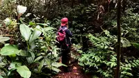 Forest Healing, Berbicara dengan Pohon hingga Memetik Bunga Liar untuk Redam Stres