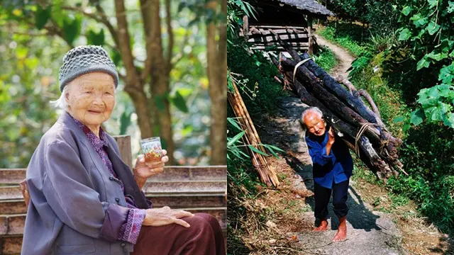 Kisah Haru, Nenek Renta Naik Turun Bukit Sambil Gendong Kayu Bakar