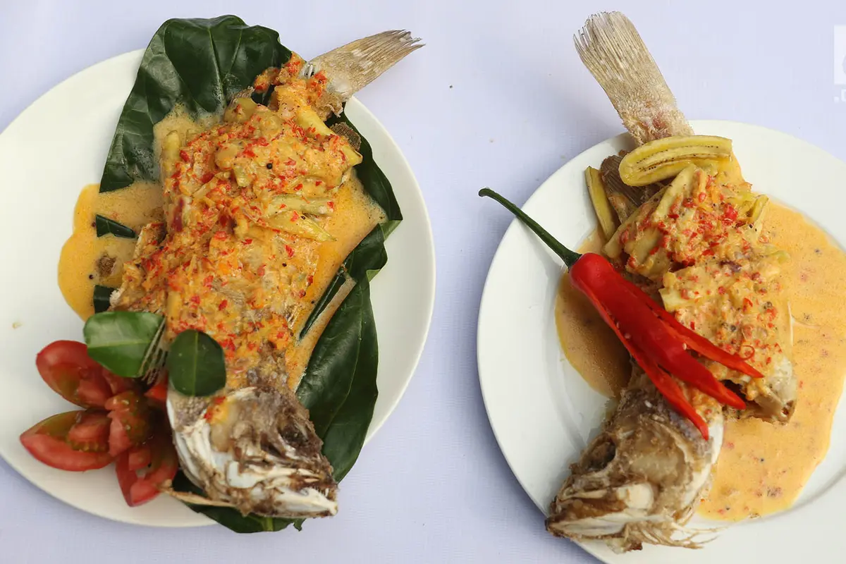 10 Koki Unjuk Kebolehan Mengolah Ikan untuk Presiden Jokowi