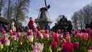 Pengunjung mengagumi rangkaian bunga di taman bunga Belanda yang terkenal di dunia, Keukenhof, Lisse, Belanda, 12 April 2022. Keukenhof merupakan taman bunga terbesar di dunia dengan tujuh juta kuntum bunga tulip yang ditanam setahun sekali di taman tersebut. (AP Photo/Peter Dejong)