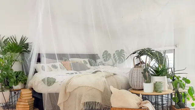 Cara Jitu Mengusir Nyamuk dari Dalam Rumah, Ternyata Semudah Itu Lho