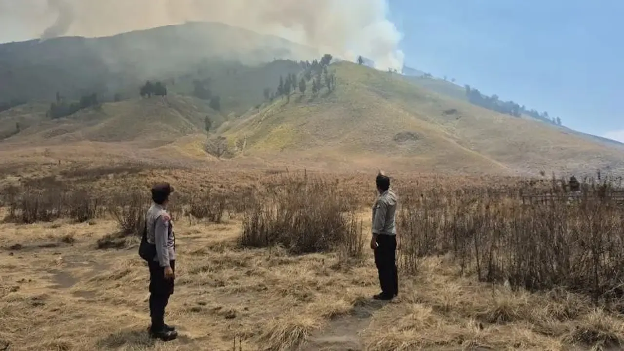 Kebakaran Bromo Meluas Hingga ke Jemplang, Malang