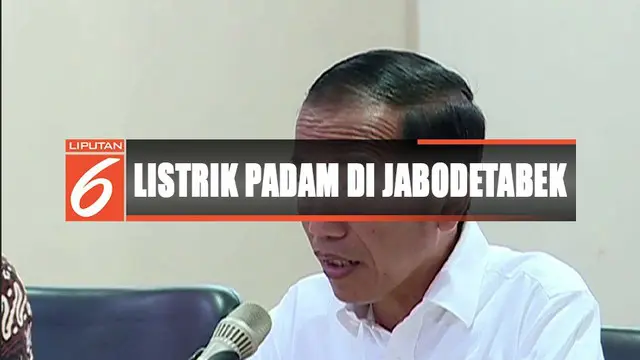 Presiden Jokowi temui Plt Dirut PLN Sripeni untuk minta penjelasan dan pertanggungjawaban manajemen terkait listrik padam massal.