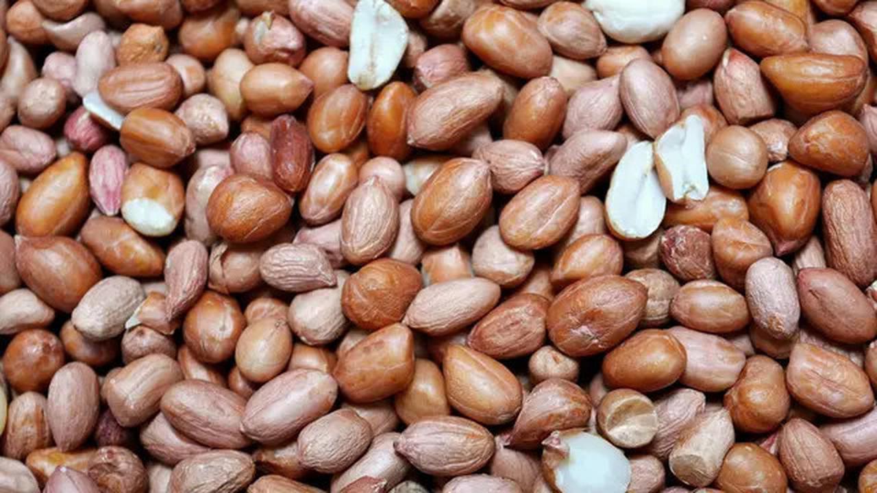 11 Sumber Protein Terbaik yang Dapat Anda Makan Menurut Ahli