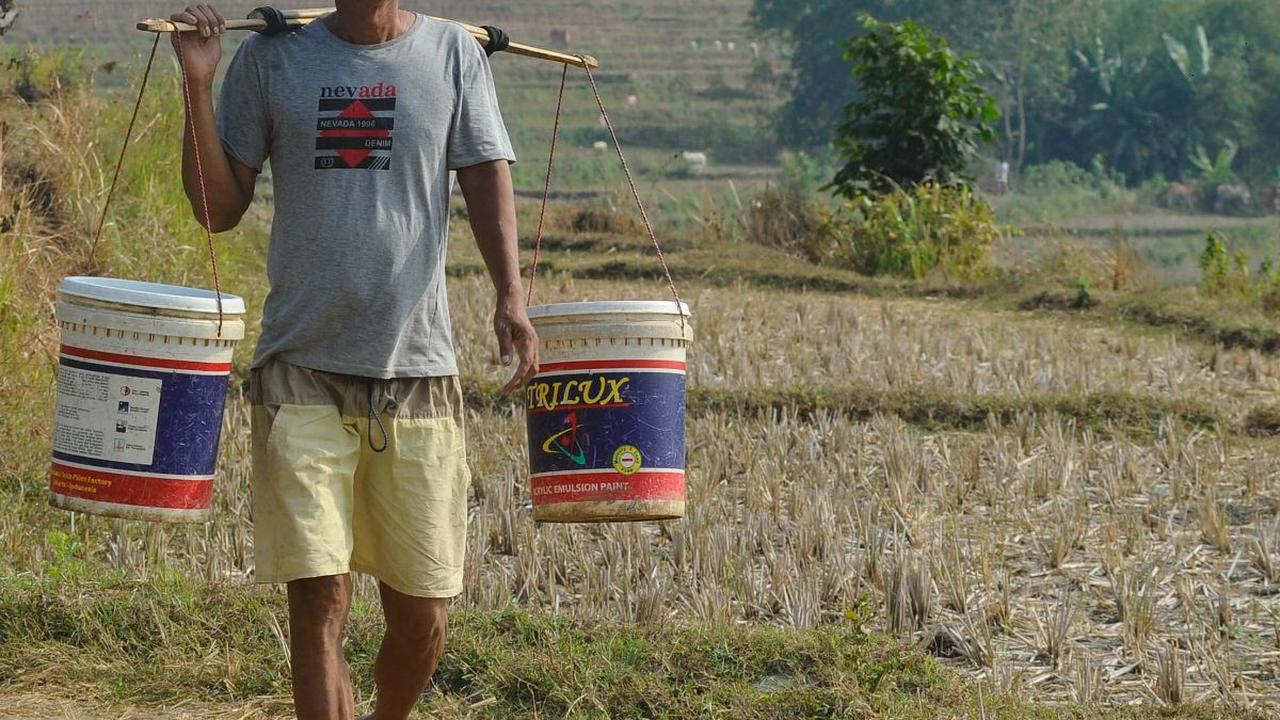 Bahkan ada warga yang harus rela berjalan jauh demi mendapat air hingga ke tempat ini.

Di tengah cuaca panas yang menyengat, mereka berjalan kaki tanpa alas, memikul beban dua ember berisi air yang baru mereka ambil dari sumber air tersebut.