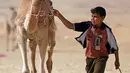 Sayed Mohamed, joki berusia 11 tahun, berjalan dengan untanya selama pembukaan Festival Balapan Unta Internasional di gurun Sarabium, Ismailia, Mesir, 12 Maret 2019. Balap unta tersebut dilakukan oleh sejumlah anak-anak. (REUTERS/Amr Abdallah Dalsh)