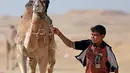 Sayed Mohamed, joki berusia 11 tahun, berjalan dengan untanya selama pembukaan Festival Balapan Unta Internasional di gurun Sarabium, Ismailia, Mesir, 12 Maret 2019. Balap unta tersebut dilakukan oleh sejumlah anak-anak. (REUTERS/Amr Abdallah Dalsh)