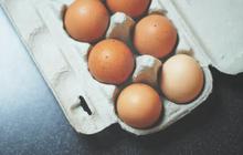 Cara Ampuh Menyimpan Telur Agar Tetap Segar hingga 6 Minggu