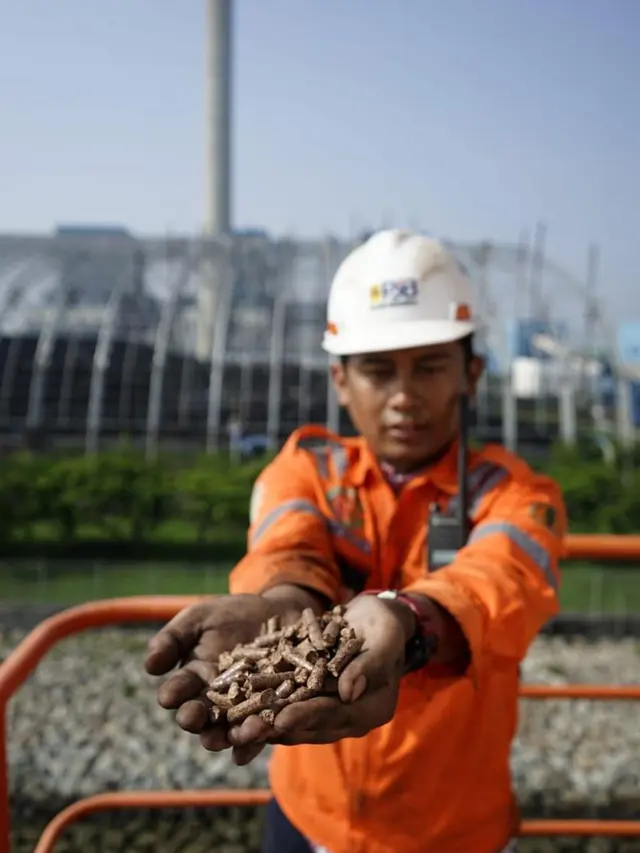 PLN mendukung transisi energi dengan menerapkan program pencampuran biomassa dengan batu bara (Co-firing) pada pembangkit listrik tenaga uap (PLTU). (Dok PLN)