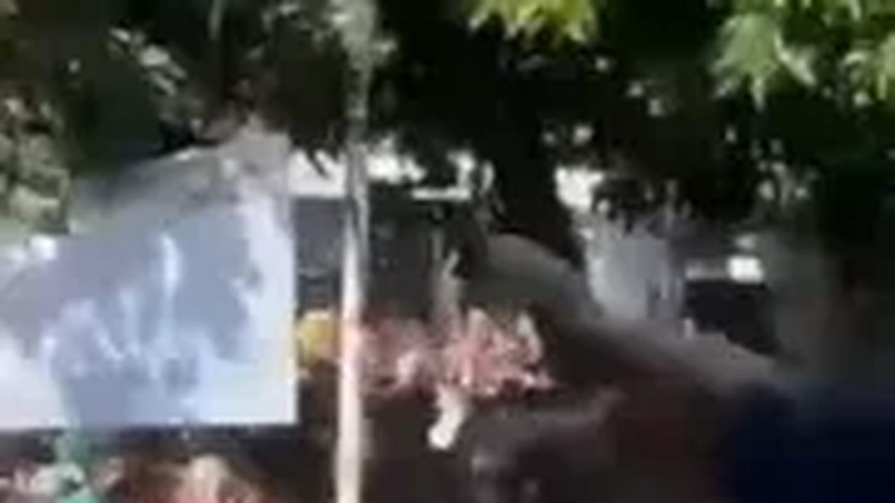 Viral Pengusaha Pekalongan Sebar Uang Rp35 Juta Saat Hajatan Disebut ada yang Tewas, Begini Faktanya
