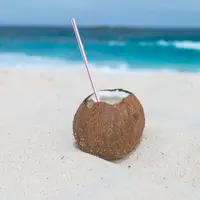 Gunakan Rebusan Air Kelapa | copyright pexels.com/Craig Adderley