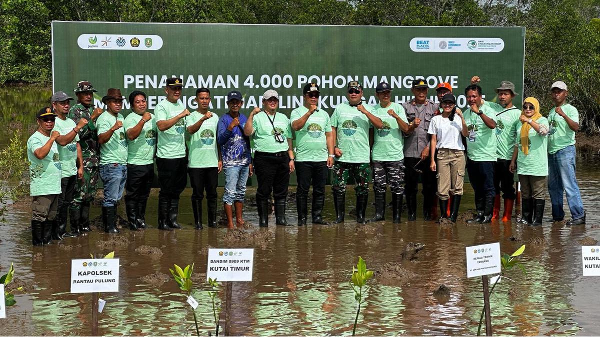 Ribuan Mangrove Ditanam di Teluk Lingga, Ekosistem Pesisir Dipulihkan dengan AI