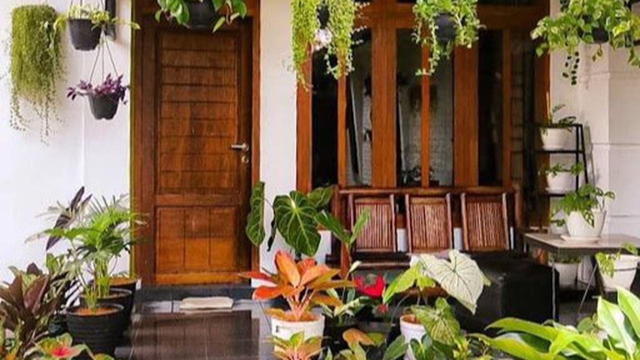 Ilustrasi Taman Depan Rumah Minimalis dengan Tanaman Gantung (©Pinterest)