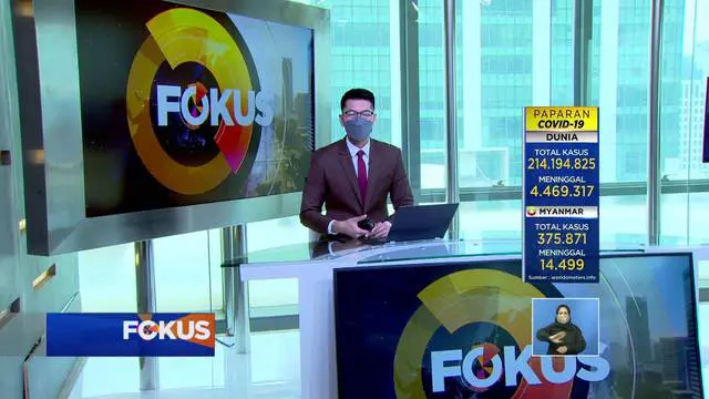 Fokus : Harga Cabai Anjlok