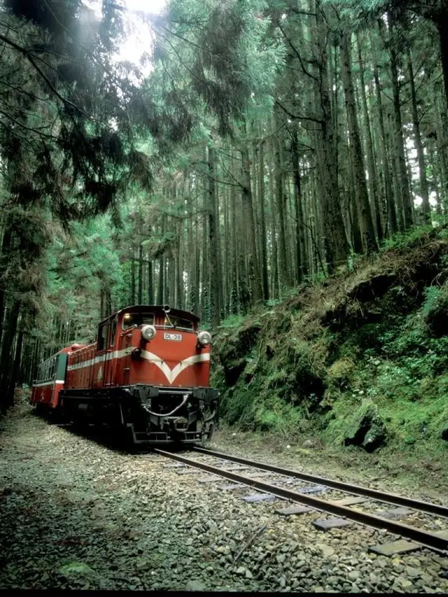 Area Panorama Nasional Gunung Ali (Alishan)