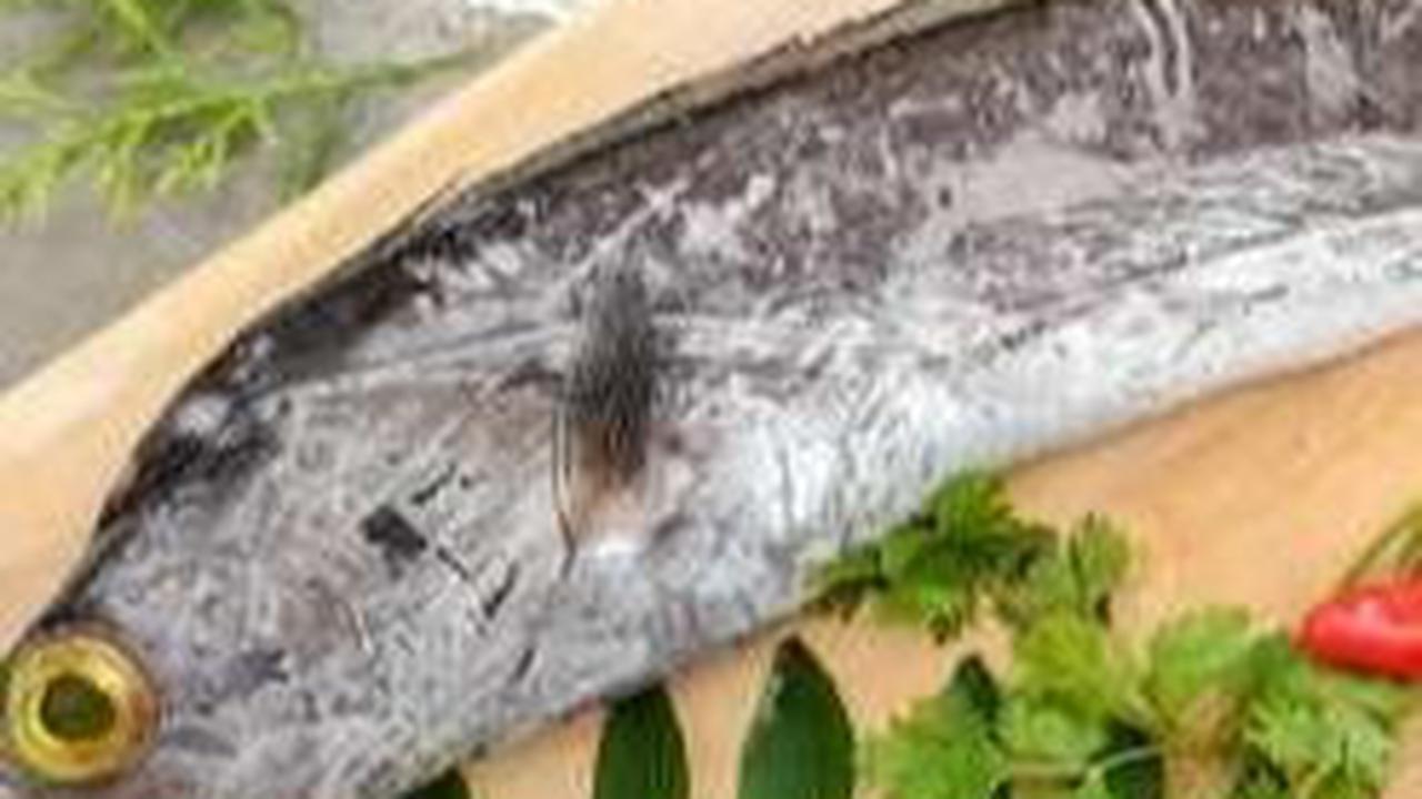 <b>Manfaat Ikan Layur bagi Kesehatan</b>