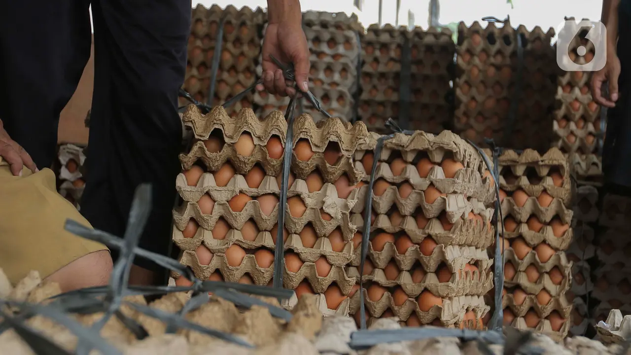 Harga telur ayam