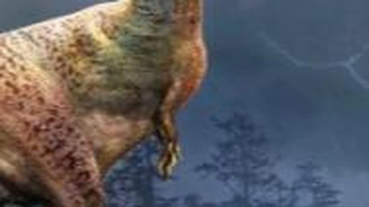 5. Tyrannosaurus Menjadikan Dinosaurus Kecil Sebagai Makanan Penutup<br>