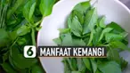 Ternyata daun kemangi mempunyai banyak manfaat. Salah satunya untuk kesehatan tubuh.