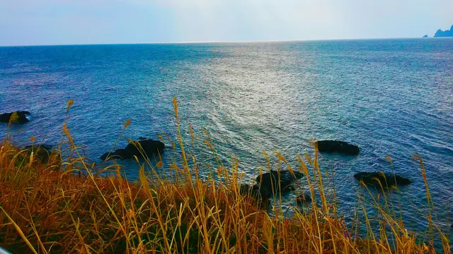 Pulau Jeju, Surga Alam yang Menenangkan