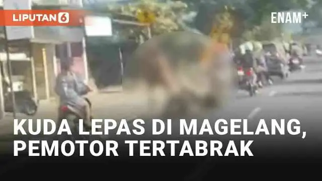 Pengendara di Jl. Tempuran, Magelang, Jawa Tengah dibuat geger pada Sabtu (13/7/2024) sore. Seekor kuda tiba-tiba berlari di jalanan dan membuat panik pengendara yang melintas. Seorang pemotor menjadi korban lantaran tertabrak saat berpapasan dengan ...