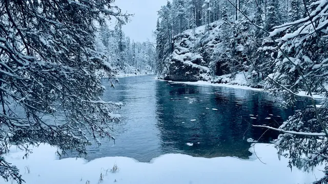 Oulanka National Park