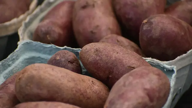 Melancarkan Pencernaan