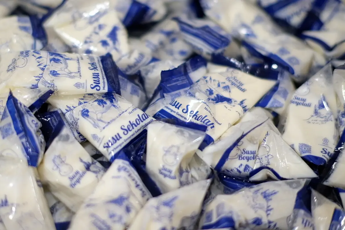 Efek Program MBG, Produksi Susu Lokal Boyolali Tembus 2.000 Liter per Hari