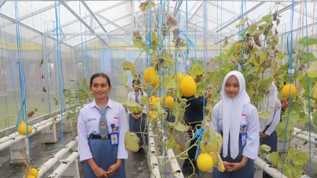 Buah Melon di SMAN 3 Tenggarong