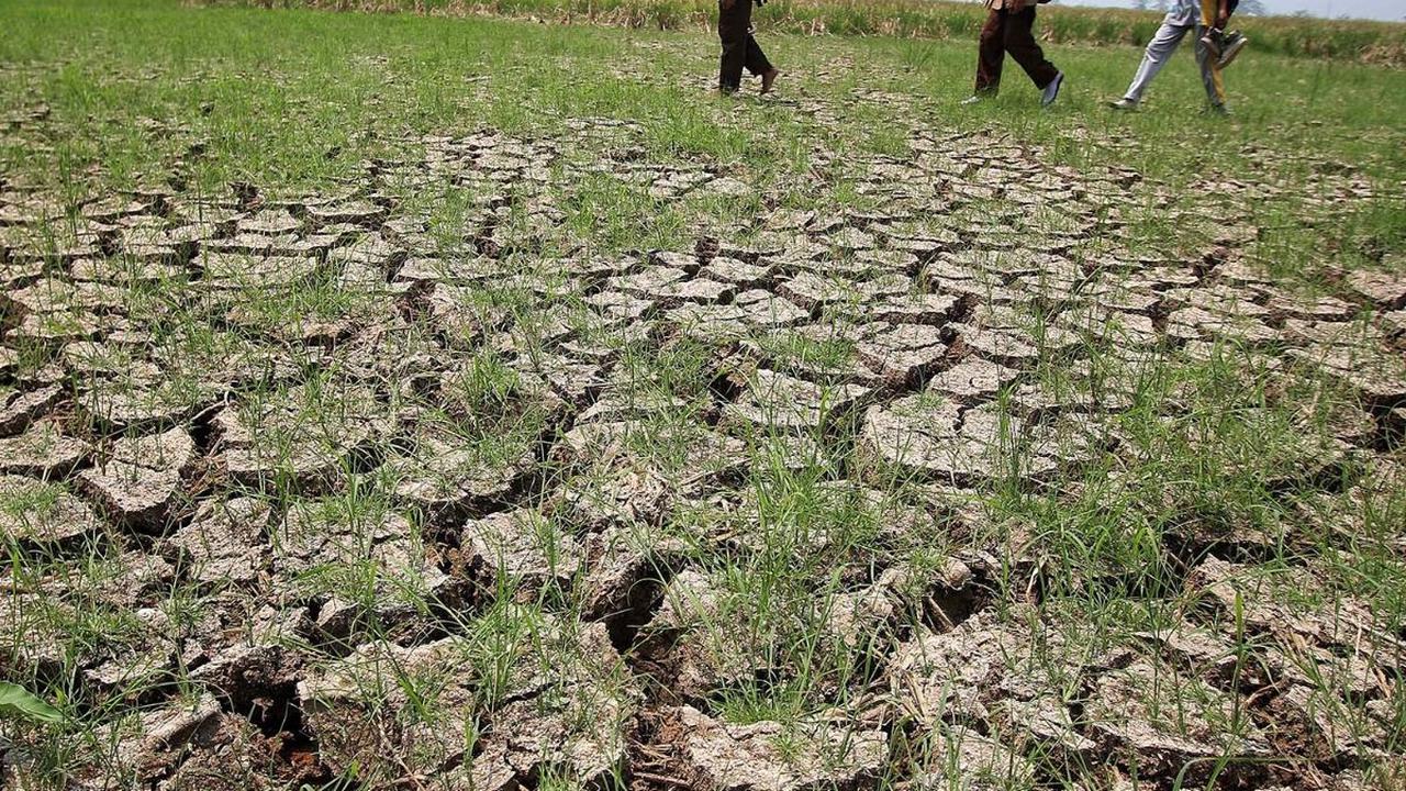 Pemerintah Kabupaten (Pemkab) Tangerang, Provinsi Banten menetapkan status siaga bencana kekeringan akibat musim kemarau berkepanjangan sebagai dampak dari fenomena El Nino.<br style="color: rgb(85, 85, 85); font-family: Roboto, Arial, sans-serif; font-si
