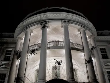 Laba-laba raksasa beserta jaringnya terlihat memenuhi pelataran Gedung Putih, Washington DC, AS, Sabtu (28/10). Laba-laba raksasa tersebut merupakan boneka yang sengaja dipasang dalam rangka menyambut Halloween. (Brendan Smialowski / AFP)