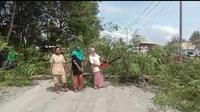 Aksi emak-emak di Muna, menebang pohon dengan gergaji mesin karena kesal jalan rusak tak kunjung diperbaiki.(Liputan6.com/Ahmad Akbar Fua)
