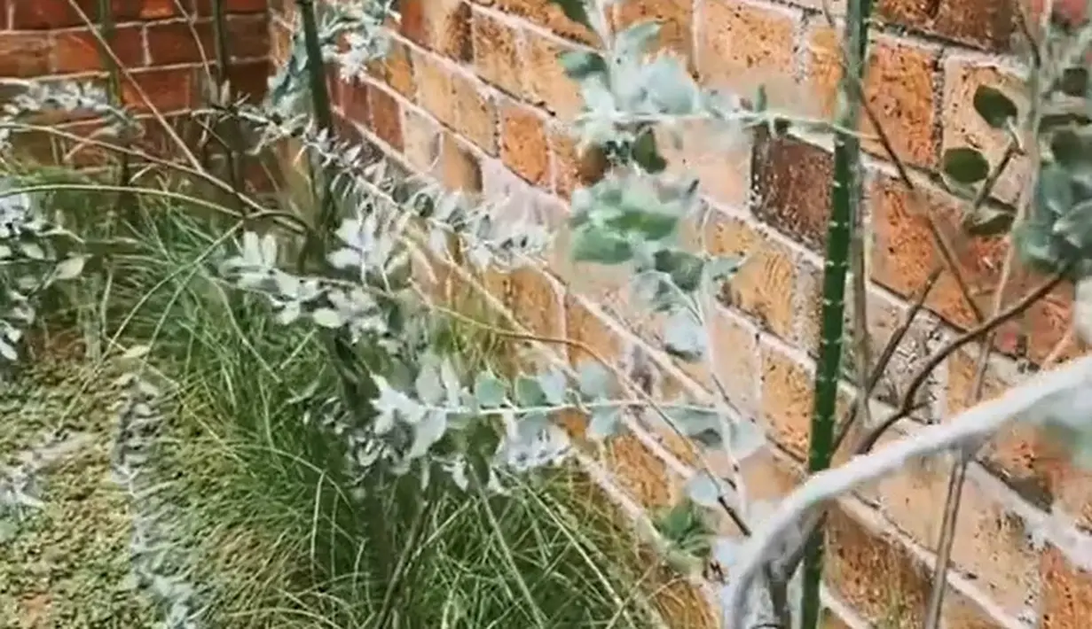 Rumah Arya Saloka (Instagram/the_house_of_olive)