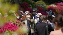 Pengunjung yang mengenakan masker mengambil gambar taman azalea di kuil Shinto, Tokyo pada 21 April 2022. Pada bulan April, saat musim semi mencapai puncaknya, bunga azalea berwarna-warni ceria akan memenuhi kompleks kuil. (AP Photo/Kiichiro Sato)