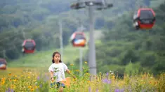 Seorang anak bermain di ladang bunga yang ada di sebuah kawasan resor di Kota Jilin, Provinsi Jilin, China, 19 Juli 2020. Arena ski di kawasan resor itu diubah menjadi ladang bunga, seluncuran dan beragam proyek pariwisata rekreasi lainnya guna menarik wisatawan pada musim panas. (Xinhua/Yan Linyun)
