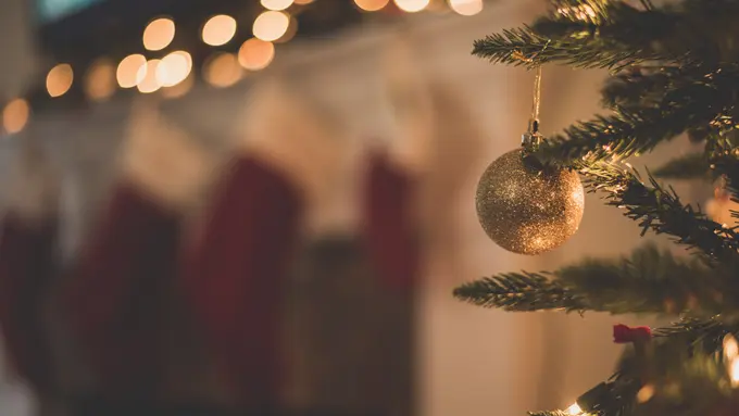 Pohon Natal