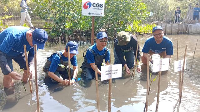 Mangrove Project Untuk Satu Bumi, Upaya Selamatkan Ekosistem Pesisir di 10 Area