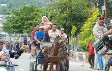 Wagub Sulteng Dorong Pelestarian Dokar sebagai Warisan Budaya dengan Penataan yang Aman