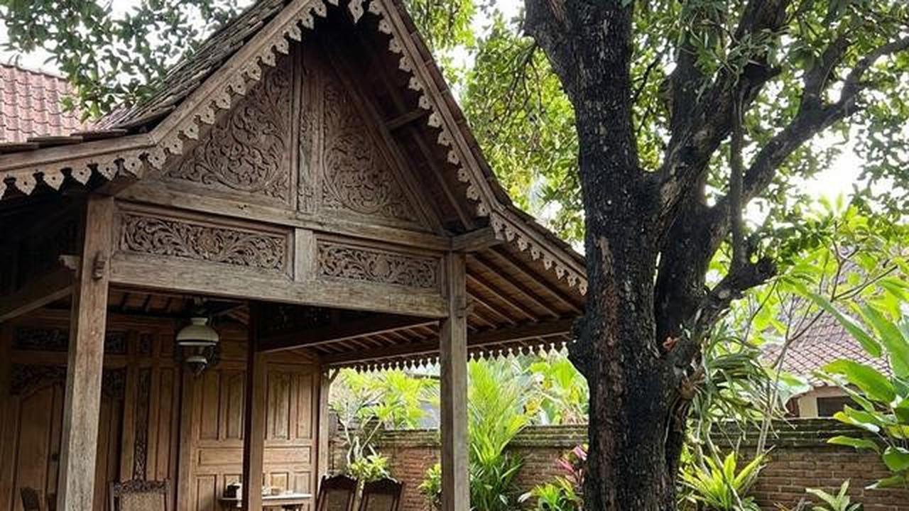 8 Jenis Pohon Buah Tahan Kemarau untuk Pekarangan Rumah, Tetap Panen di Musim Kering
