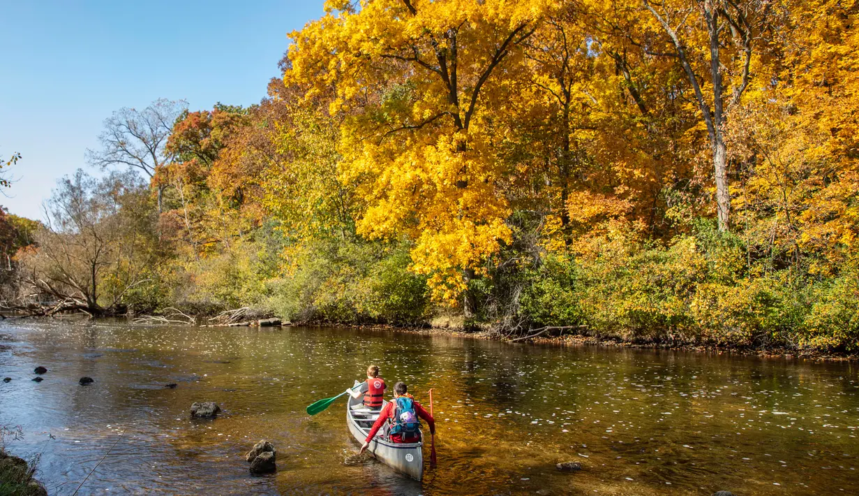 Sejumlah pendayung kano mulai menyusuri Sungai Hudson untuk menikmati keindahan dedaunan musim gugur di Island Lake Recreation Center di Livingston County, Michigan, Amerika Serikat, pada 11 Oktober 2020. (Xinhua/Joel Lerner)