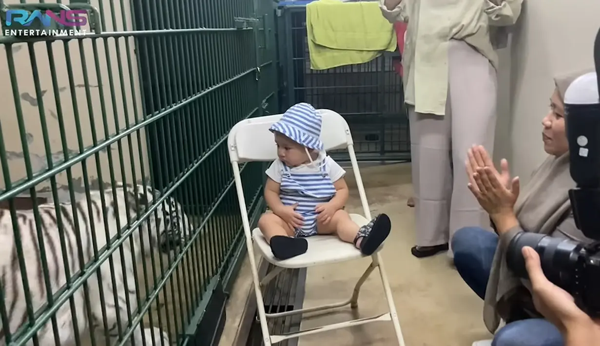 Rayyanza duduk di luar kandang sambil melihat harimau putih berjalan mondar-mandir di dalam kandangnya. (Foto: YouTube Rans Entertainment)