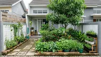 10 Ide Food Forest di Halaman Kurang dari 100 Meter Persegi, Panen Melimpah