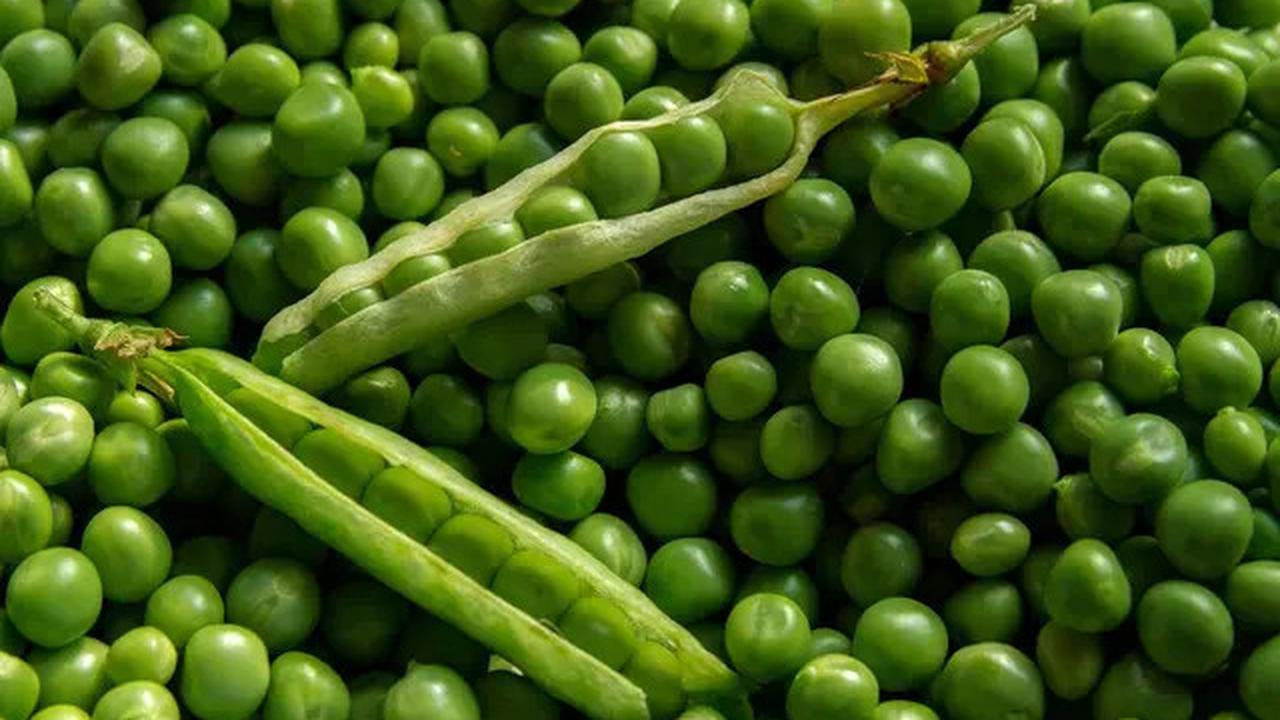 Sayuran Tinggi Protein yang Mudah Ditanam Sendiri, Cocok untuk Pola Makan Sehat