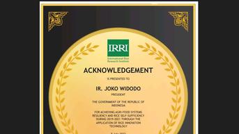 Indonesia Swasembada Beras, Lembaga Internasional IRRI Beri Penghargaan ke Jokowi