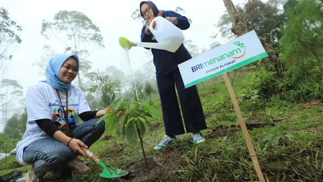 Dukung Net Zero Emission 2050, BRI Menanam Lebih dari 904 Ribu Bibit Pohon Produktif